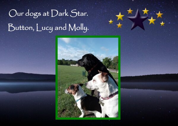 Mucky Pup Fragrance Free Bar (Wrapped) - Image 7